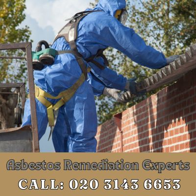 Asbestos Remediation Experts Berrylands