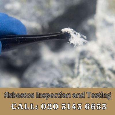 Comprehensive Asbestos Inspection and Testing Services in Berrylands